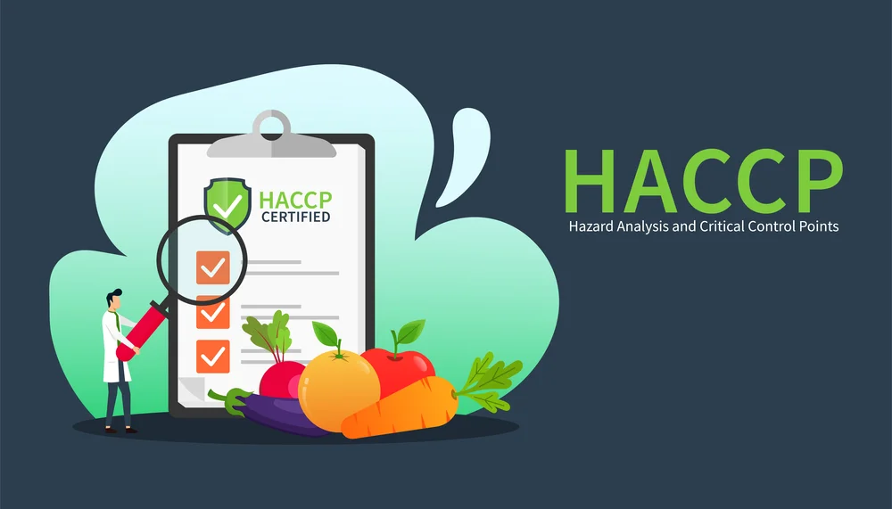 System HACCP
