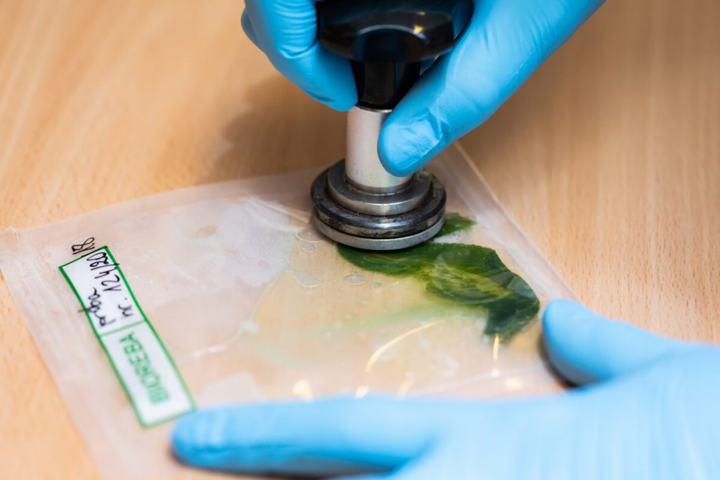 Zdjęcie dostarczone przez organizatora